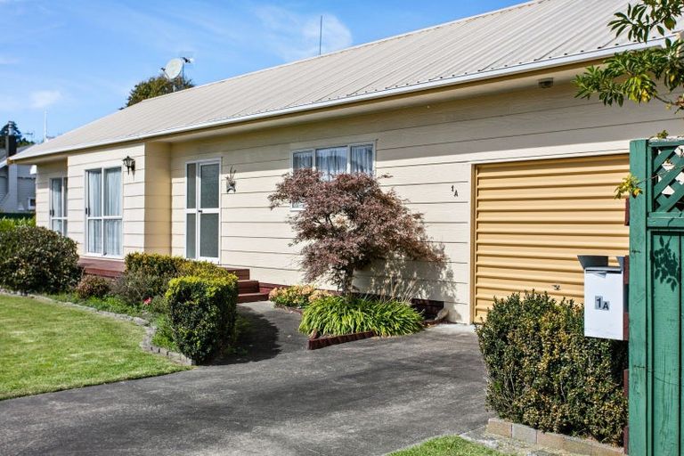 Photo of property in 1a Domett Street, Whataupoko, Gisborne, 4010