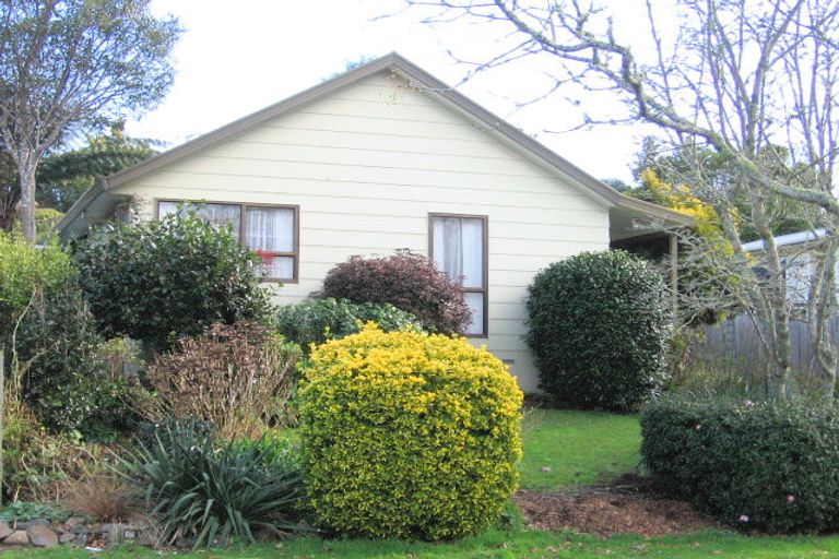 Photo of property in 46 Exeter Street, Glenview, Hamilton, 3206