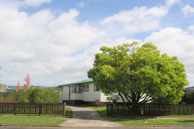Photo of property in 68 Young Street, Morrinsville, 3300