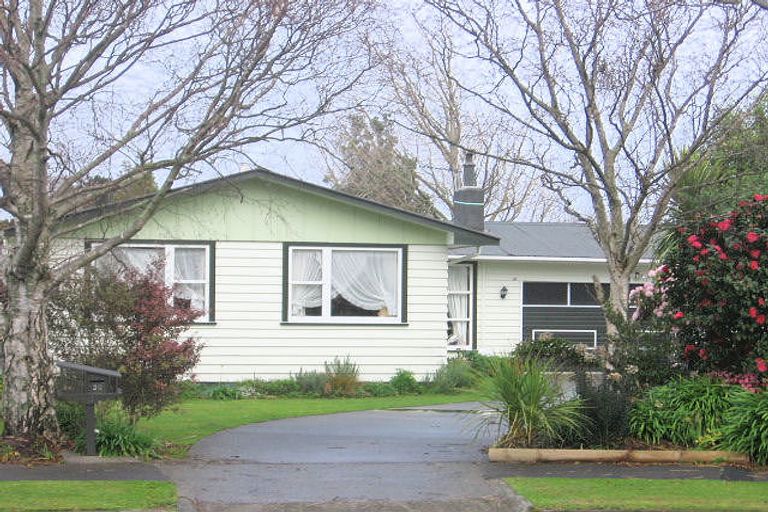 Photo of property in 30 Snowdon Avenue, Terrace End, Palmerston North, 4410