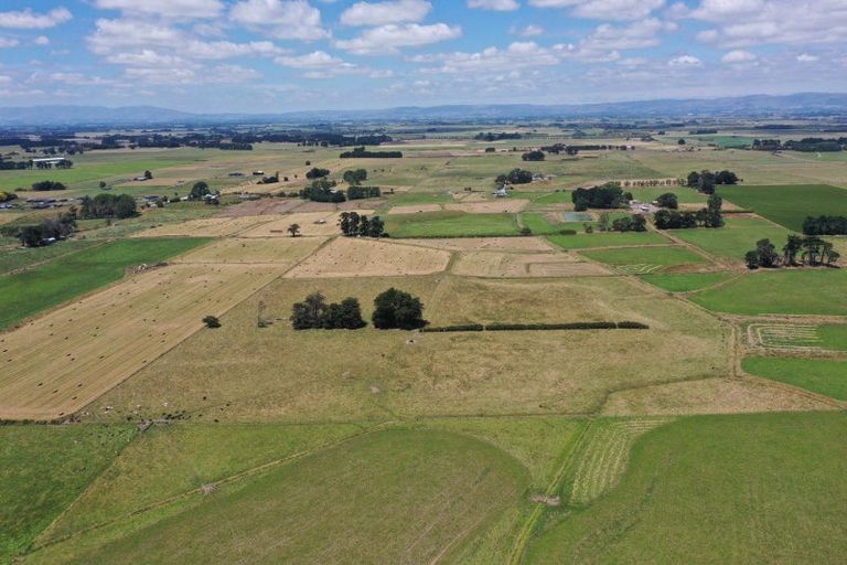 Photo of property in 128 Banks Road, Rongotea, Palmerston North, 4473