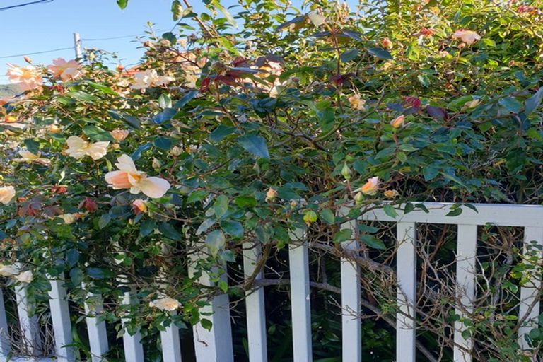 Photo of property in 7 Lemnos Avenue, Karori, Wellington, 6012