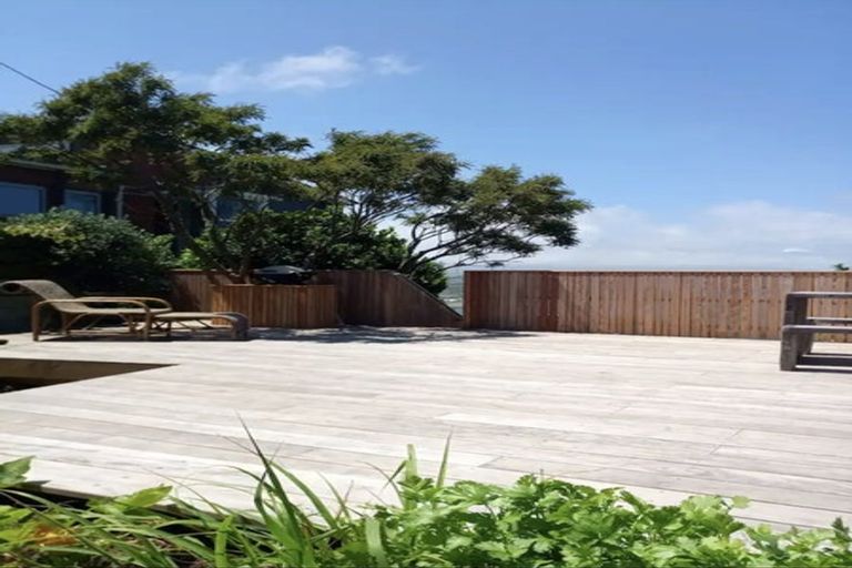 Photo of property in 49 Hornsey Road, Melrose, Wellington, 6023