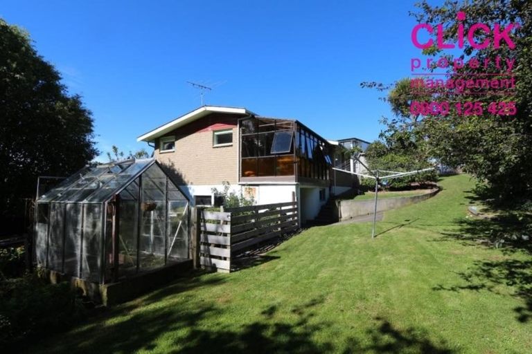 Photo of property in 219 Elgin Road, Balaclava, Dunedin, 9011