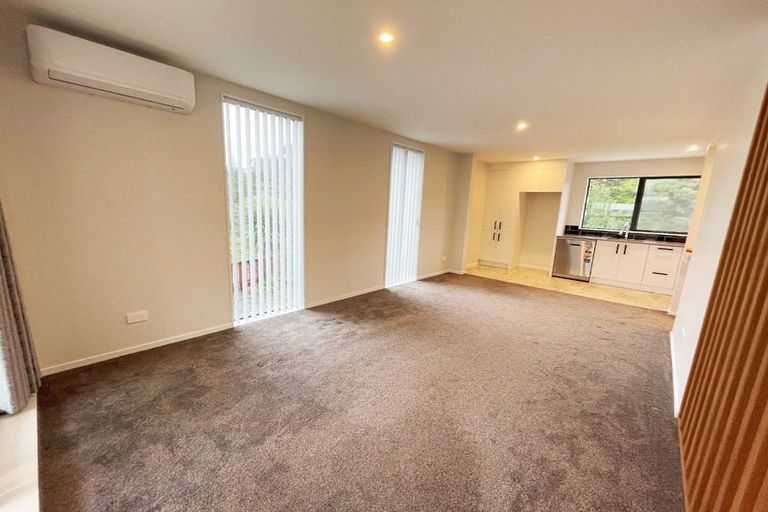 Photo of property in 66 Makamaka Lane, Albany Heights, Auckland, 0632