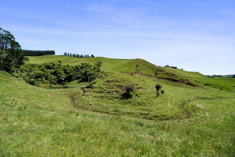 Photo of property in 325a Awai Road, Tarurutangi, New Plymouth, 4372