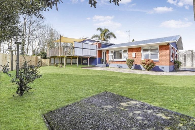 Photo of property in 125 Fitzroy Avenue, Fitzroy, Hamilton, 3206