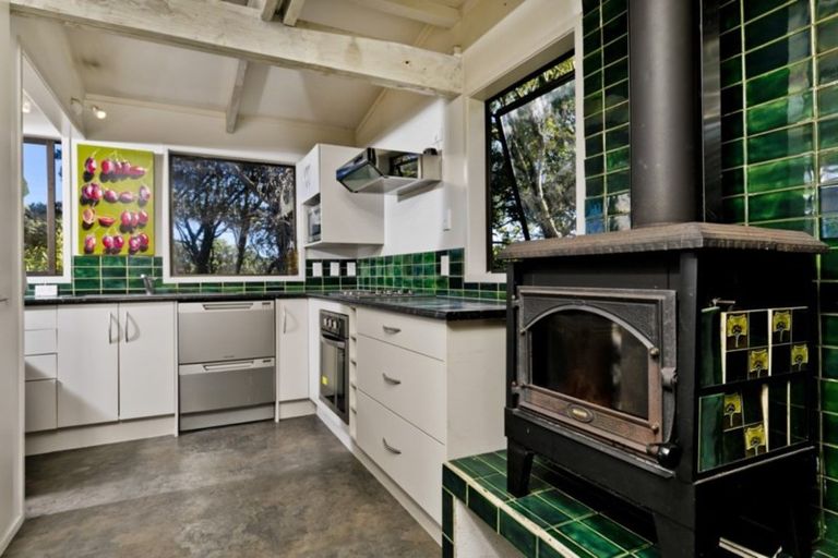 Photo of property in 107 Domain Crescent, Muriwai, 0881