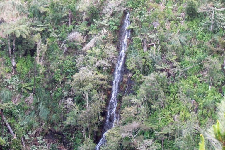 Photo of property in 316b Waitao Road, Waitao, Tauranga, 3175