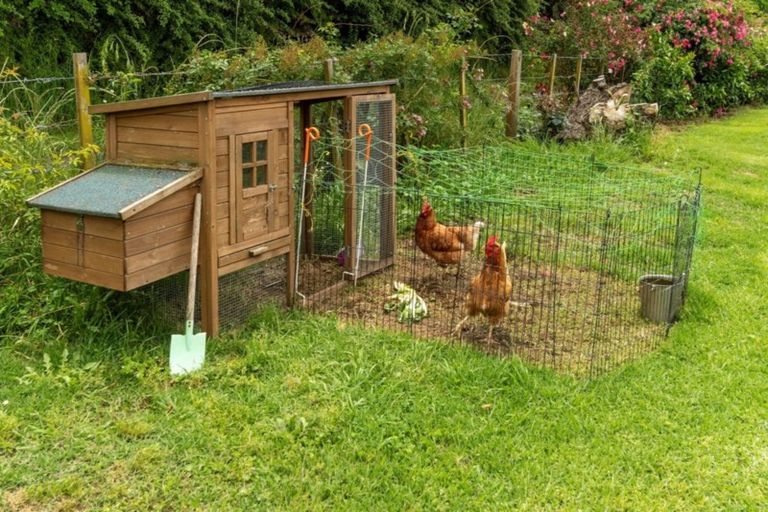 Photo of property in 225b Plummers Point Road, Whakamarama, Tauranga, 3172