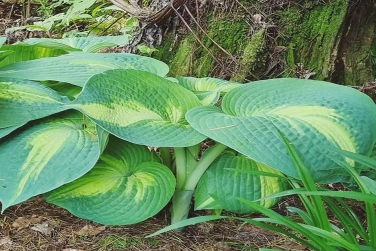 Photo of property in 4003 State Highway 4, Ongarue, 3997