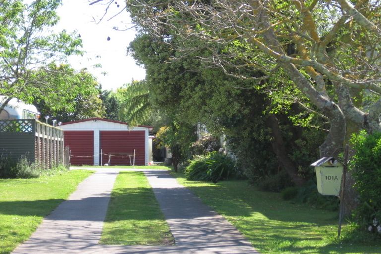 Photo of property in 101A Birrell Street, Elgin, Gisborne, 4010