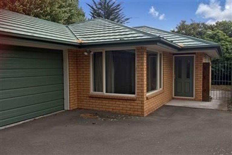 Photo of property in 20 Hornbrook Street, Waltham, Christchurch, 8023