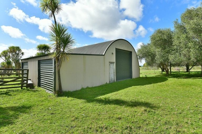 Photo of property in 115 Shelly Beach Road, Shelly Beach, Helensville, 0874