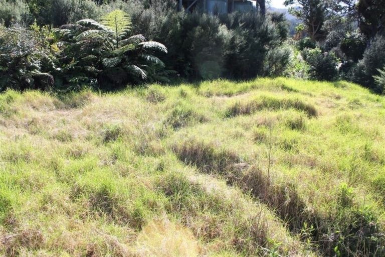 Photo of property in 276 Colville Road, Coromandel, 3584