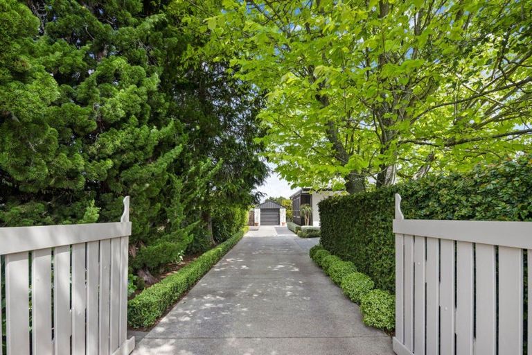 Photo of property in 8 Bailey Avenue, Claudelands, Hamilton, 3214