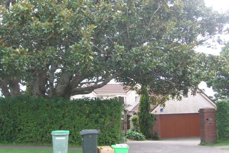 Photo of property in 36 Pillans Road, Otumoetai, Tauranga, 3110