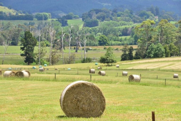 Photo of property in 74 Wyllie Road, Warkworth, 0981