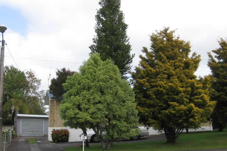 Photo of property in 79 Rawhiti Avenue, Matamata, 3400