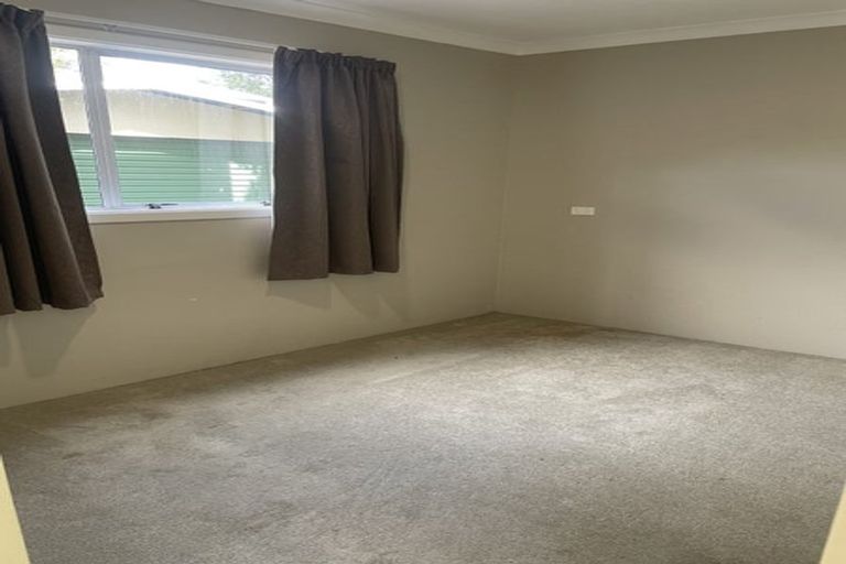 Photo of property in 160 Roslyn Road, Levin, 5510