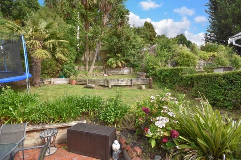 Photo of property in 53 Morrison Street, Caversham, Dunedin, 9012