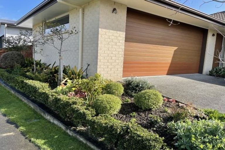 Photo of property in 10 Windsor Street, Terrace End, Palmerston North, 4410