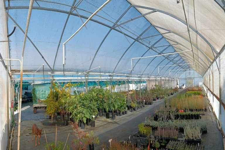 Photo of property in 13 Horton Road, Tasman, Upper Moutere, 7173