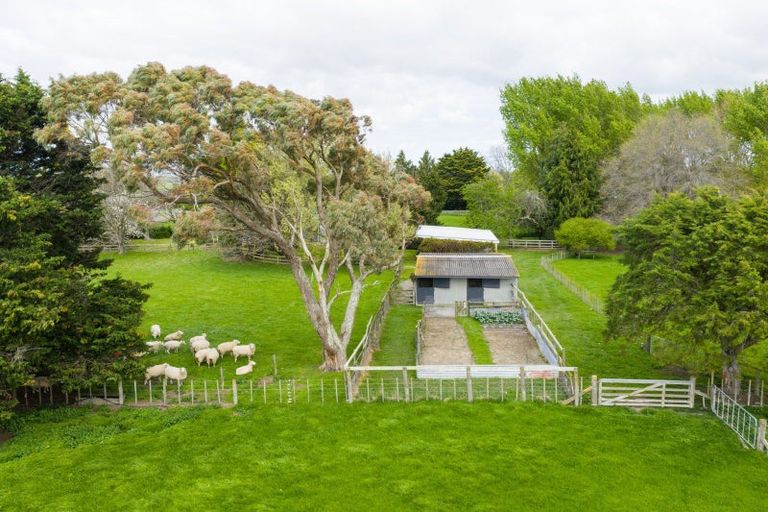 Photo of property in 11 Lawton Road, Feilding, 4775