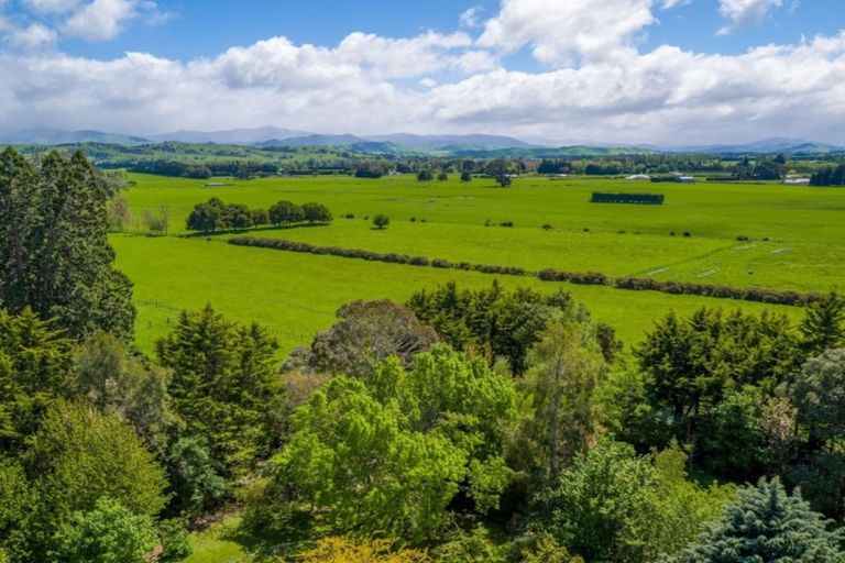 Photo of property in 61 Kibblewhite Road, Upper Plain, Masterton, 5888