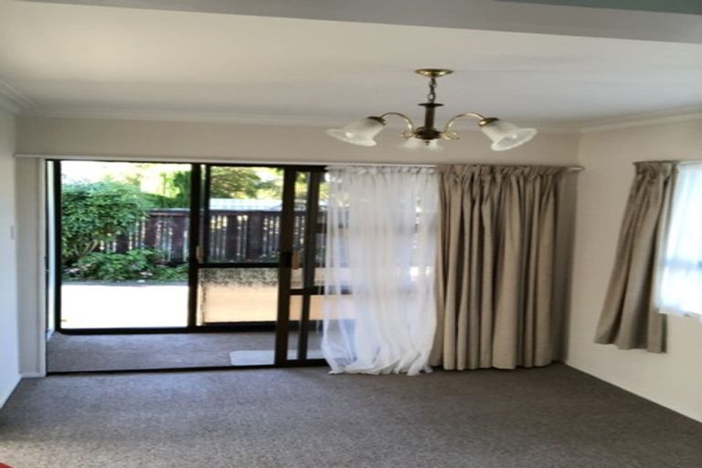 Photo of property in 111 Kings Avenue, Matua, Tauranga, 3110