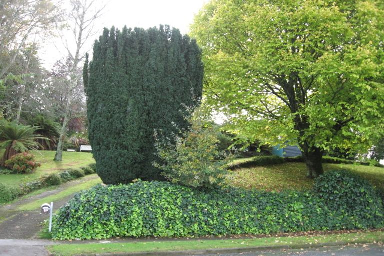 Photo of property in 38 Station Street, Tirau, 3410