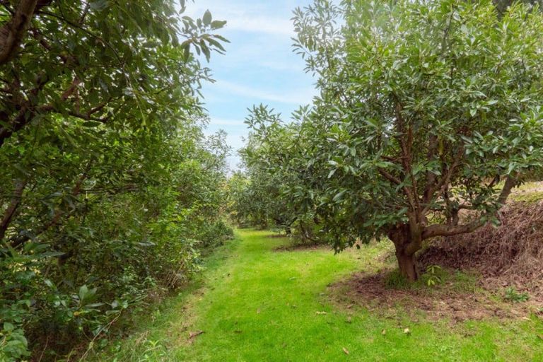 Photo of property in 36a Crawford Road, Minden, Tauranga, 3171