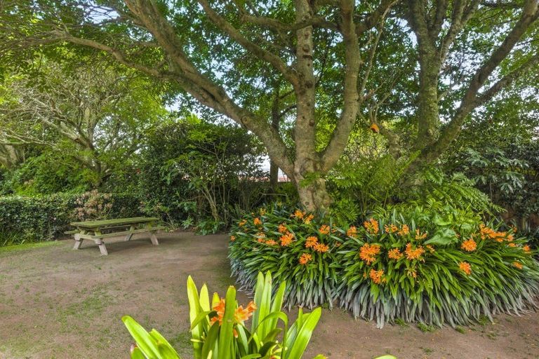 Photo of property in 335 Te Moana Road, Waikanae, 5036