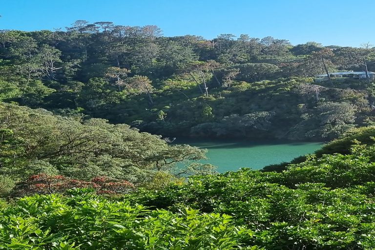 Photo of property in 9 Ferndale Avenue, Leigh, 0985