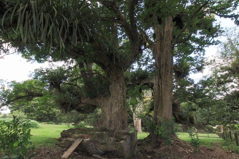 Photo of property in 186 Horeke Road, Okaihau, 0475