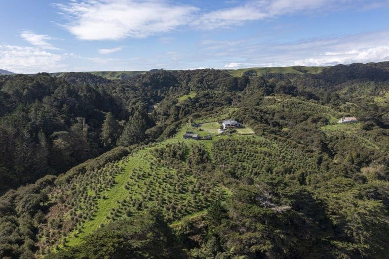 Photo of property in 920a Te Papatapu Road, Raglan, Te Mata, 3894