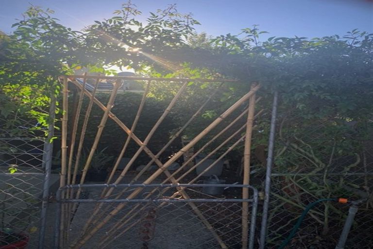 Photo of property in 28 Wensley Road, Richmond, 7020