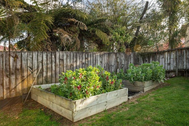 Photo of property in 1 Pickett Place, Waihi, 3610