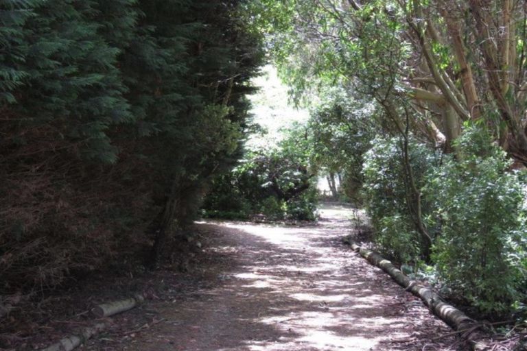 Photo of property in 208 Coggins Road, New River Ferry, Invercargill, 9879