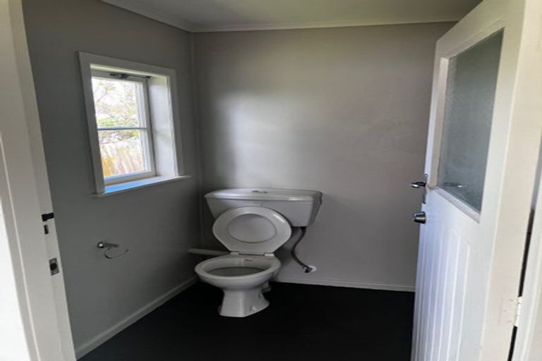 Photo of property in 59 Hutchinson Avenue, New Lynn, Auckland, 0600