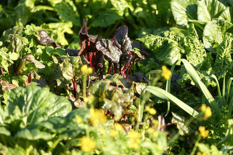 Photo of property in 202-206 Tapuhi Road, Hukerenui, Hikurangi, 0182