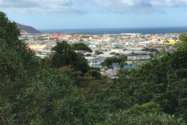 Photo of property in 99 Overtoun Terrace, Hataitai, Wellington, 6021