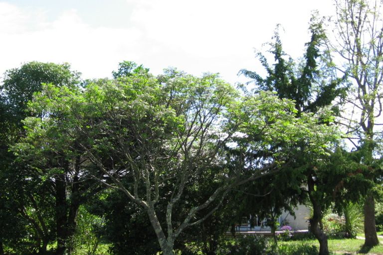 Photo of property in 103 Birrell Street, Elgin, Gisborne, 4010