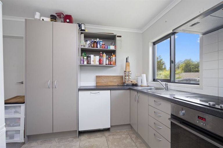 Photo of property in 19 Sapling Drive, Pukekohe, 2120