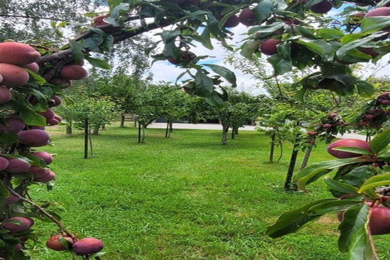 Photo of property in 376 Neudorf Road, Upper Moutere, 7175