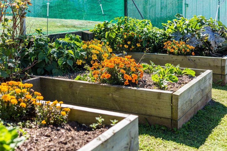 Photo of property in 25 Kahurangi Heights, Aotea, Porirua, 5024