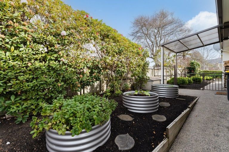 Photo of property in 10 Braeview Crescent, Maori Hill, Dunedin, 9010