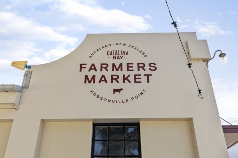 Photo of property in 96 Squadron Drive, Hobsonville, Auckland, 0618