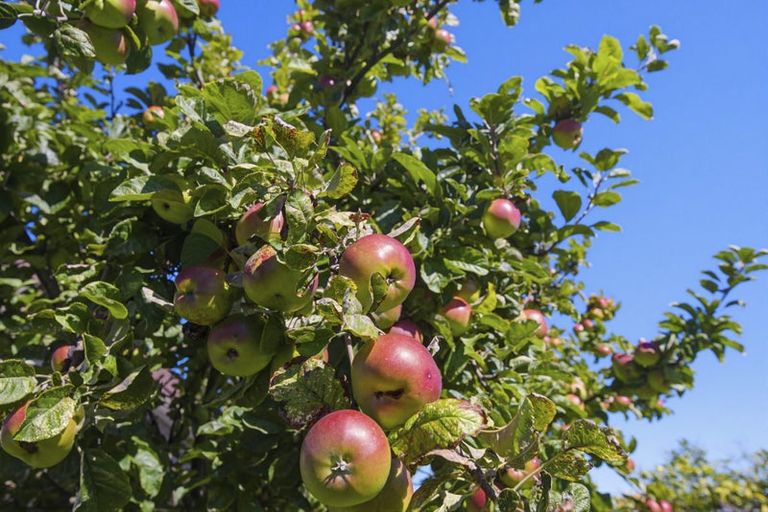 Photo of property in 32 Sylvan Avenue, Waikanae, 5036