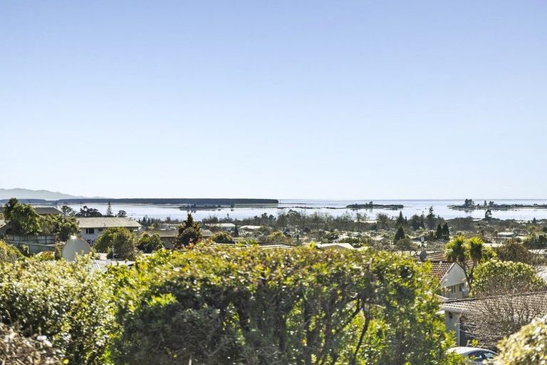 Photo of property in 3b Barrington Place, Richmond, 7020